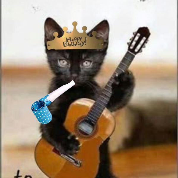 meme happy birthday mèo