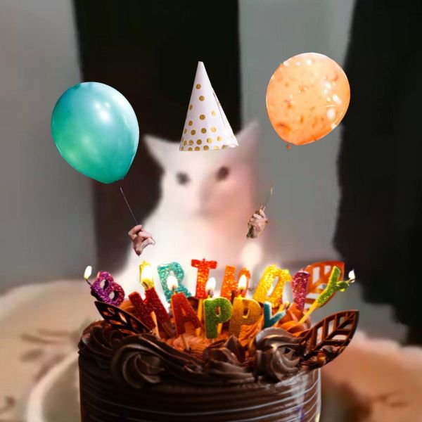 meme happy birthday mèo cầm bóng bay