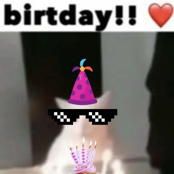 meme happy birthday siêu đẹp