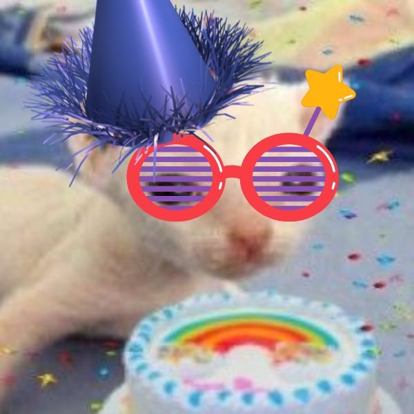 meme happy birthday thổi nến