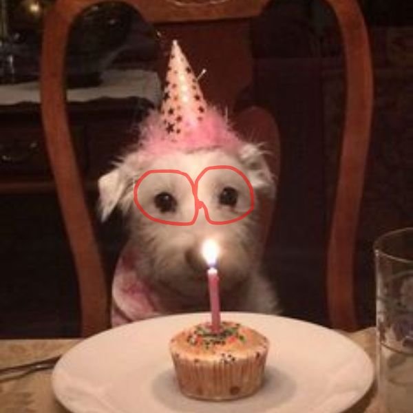 meme happy birthday troll