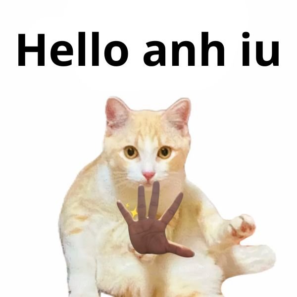 meme hello anh yêu