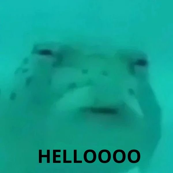 meme hello buồn ngủ