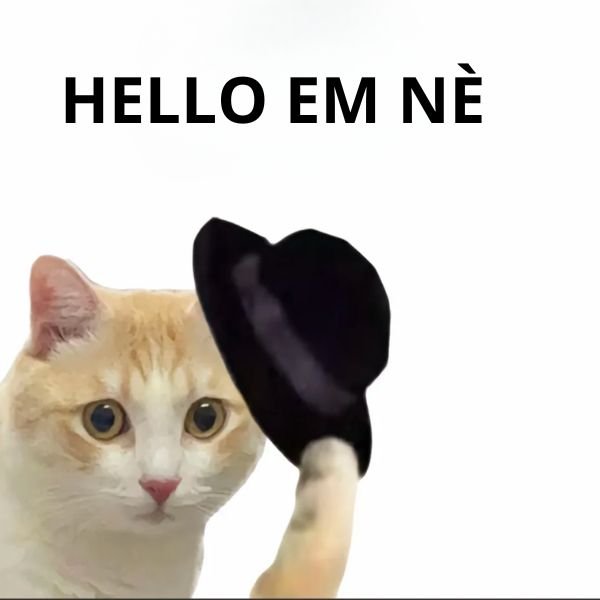 meme hello em