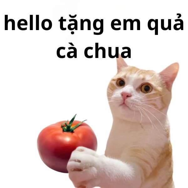 meme hello tặng em quả