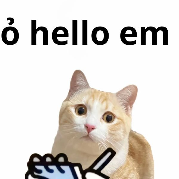 meme helloemm