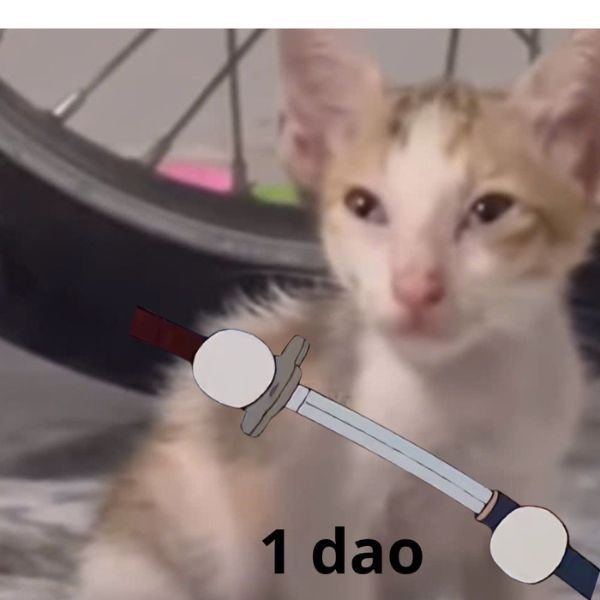 meme mèo cầm 1 dao