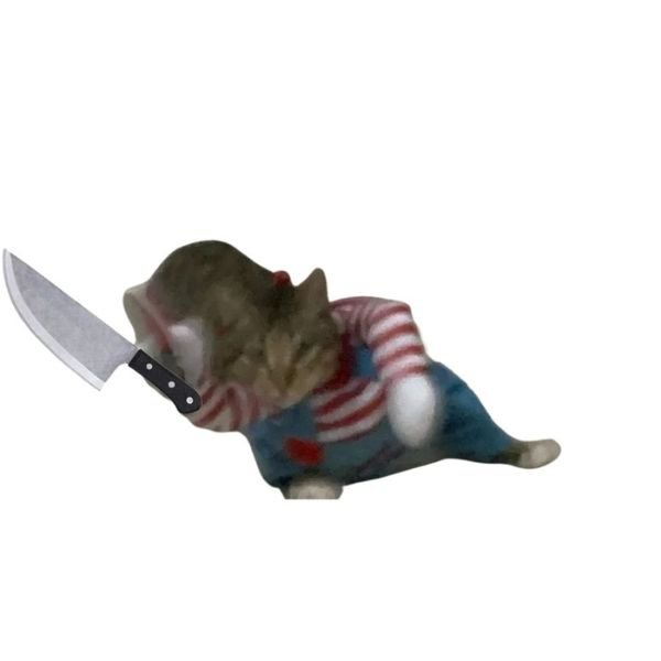 meme mèo cầm dao bò lê