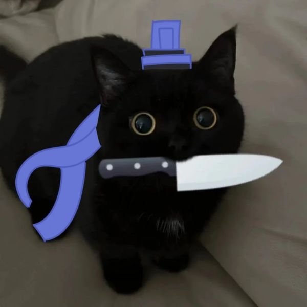 meme mèo cầm dao dễ thương