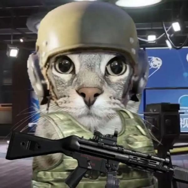 meme mèo cầm súng chiến