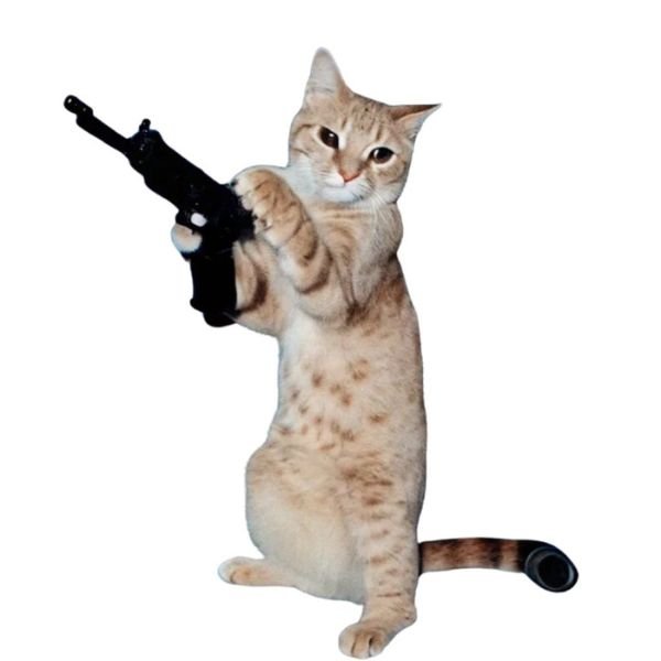 meme mèo cầm súng chiến