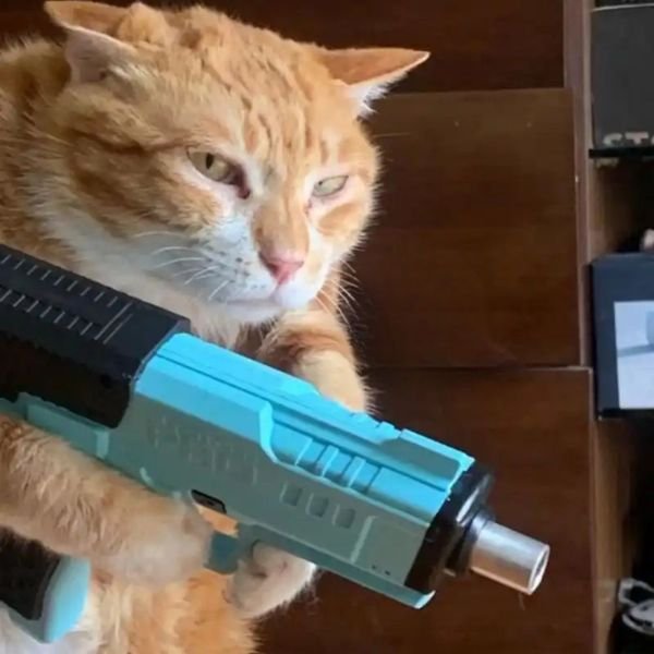 meme mèo cầm súng đáng yêu