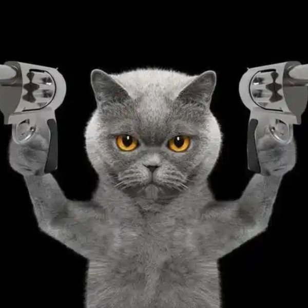 meme mèo cầm súng ngầu