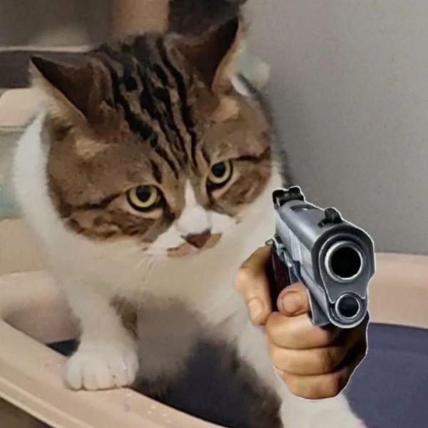 meme mèo cầm súng siêu ngầu