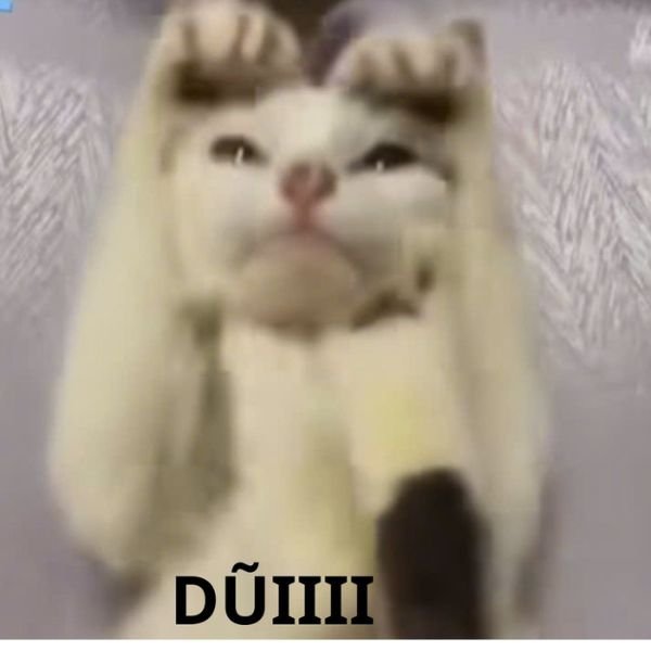 meme mèo dũi