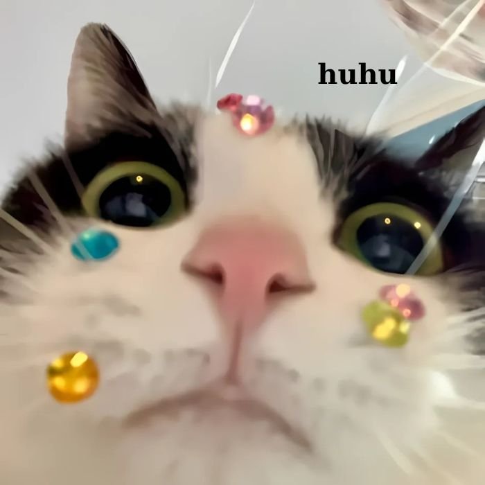 meme mèo khóc cực cute