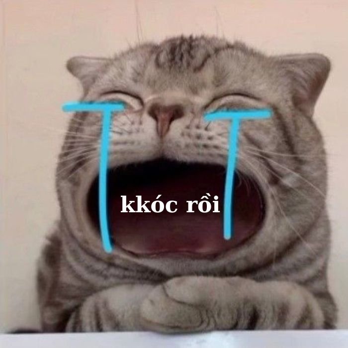 meme mèo khóc dễ thương