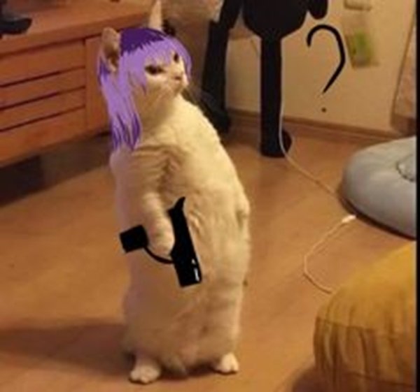 meme mèo vàng cầm súng