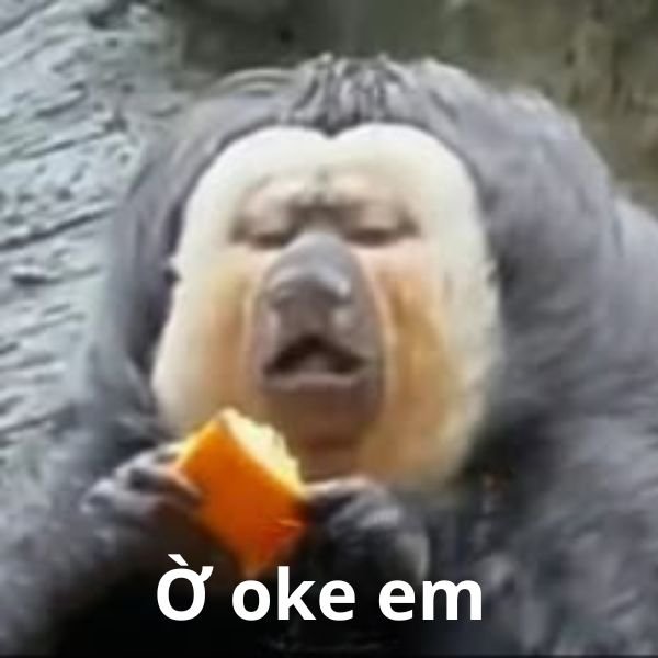 meme ờ oke em
