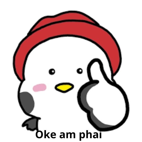 meme oke am phai