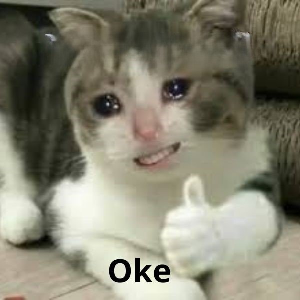 meme oke – 16