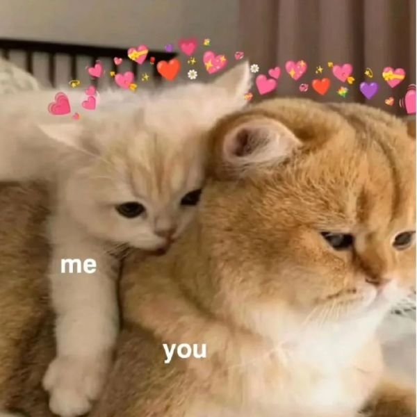 meme tình yêu đôi