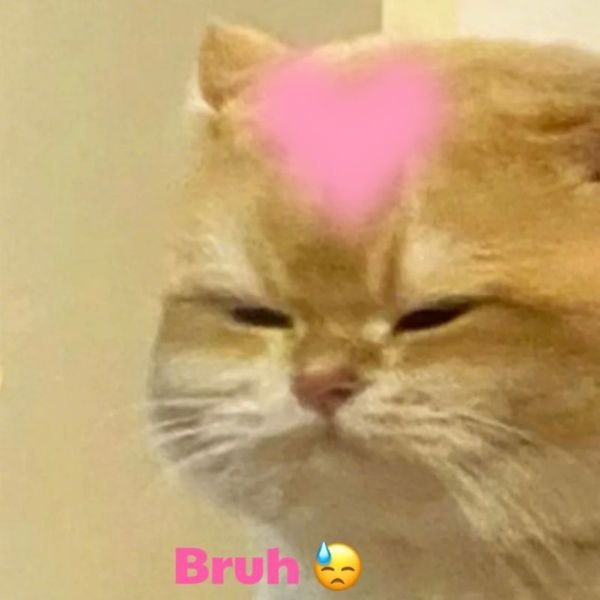 meme tình yêu lạ