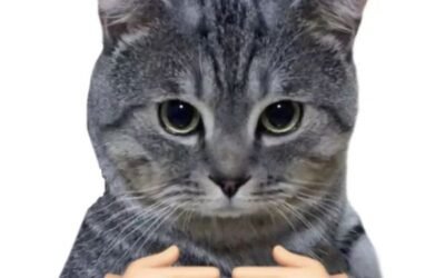 meme tình yêu ngại ngùng