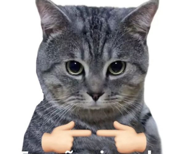 meme tình yêu ngại ngùng