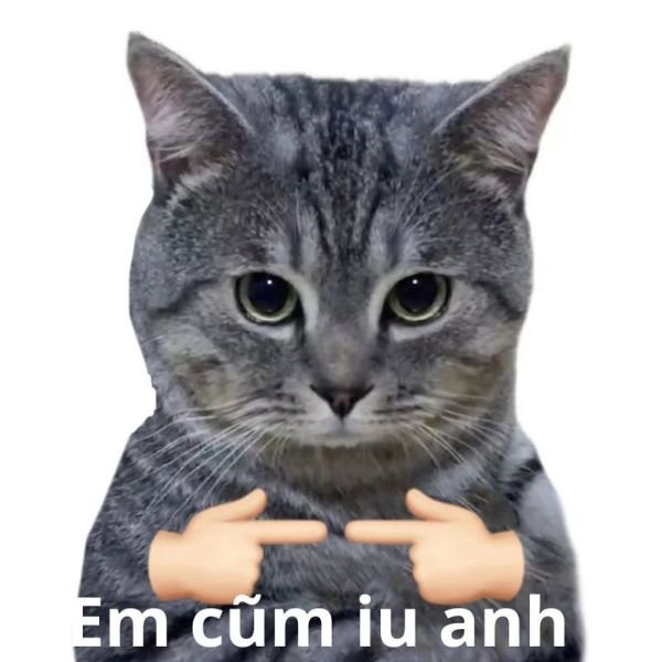 meme tình yêu ngại ngùng