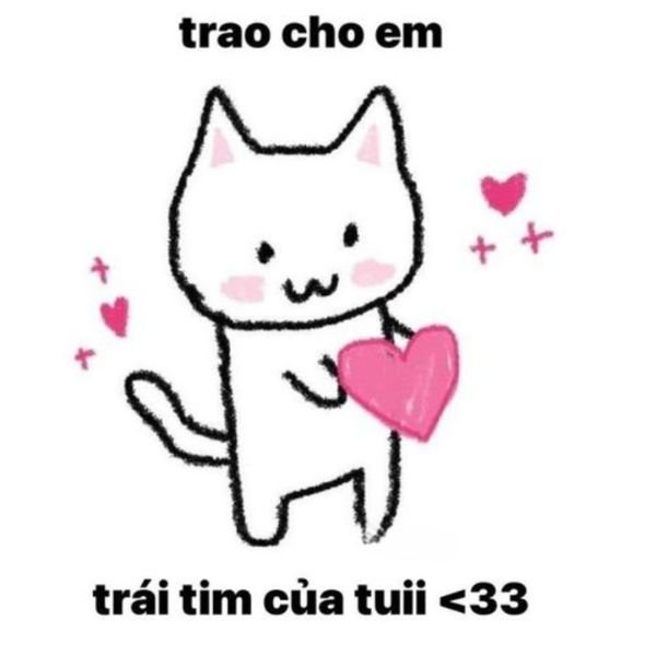meme tình yêu tặng anh trái tim