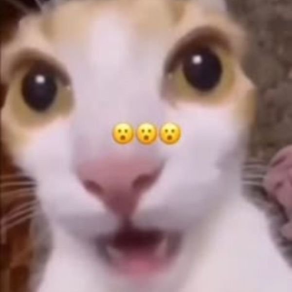 meme wow bất ngờ